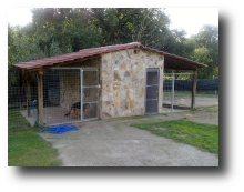 Instalaciones del criadero Zoehfer para lograr excelentes camadas de perro Pastor Aleman