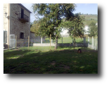 Instalaciones del criadero Zoehfer camadas de Pastores Alemanes