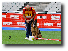Prueba de Protección (Sorpresivo) de Onex do Monticans los mejores cachorros Pastor Alemán del Kennel Zoehfer - España